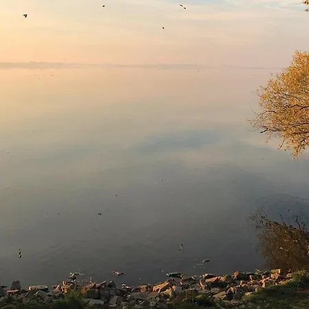 Front In Lembruchduemmer 펜션 *